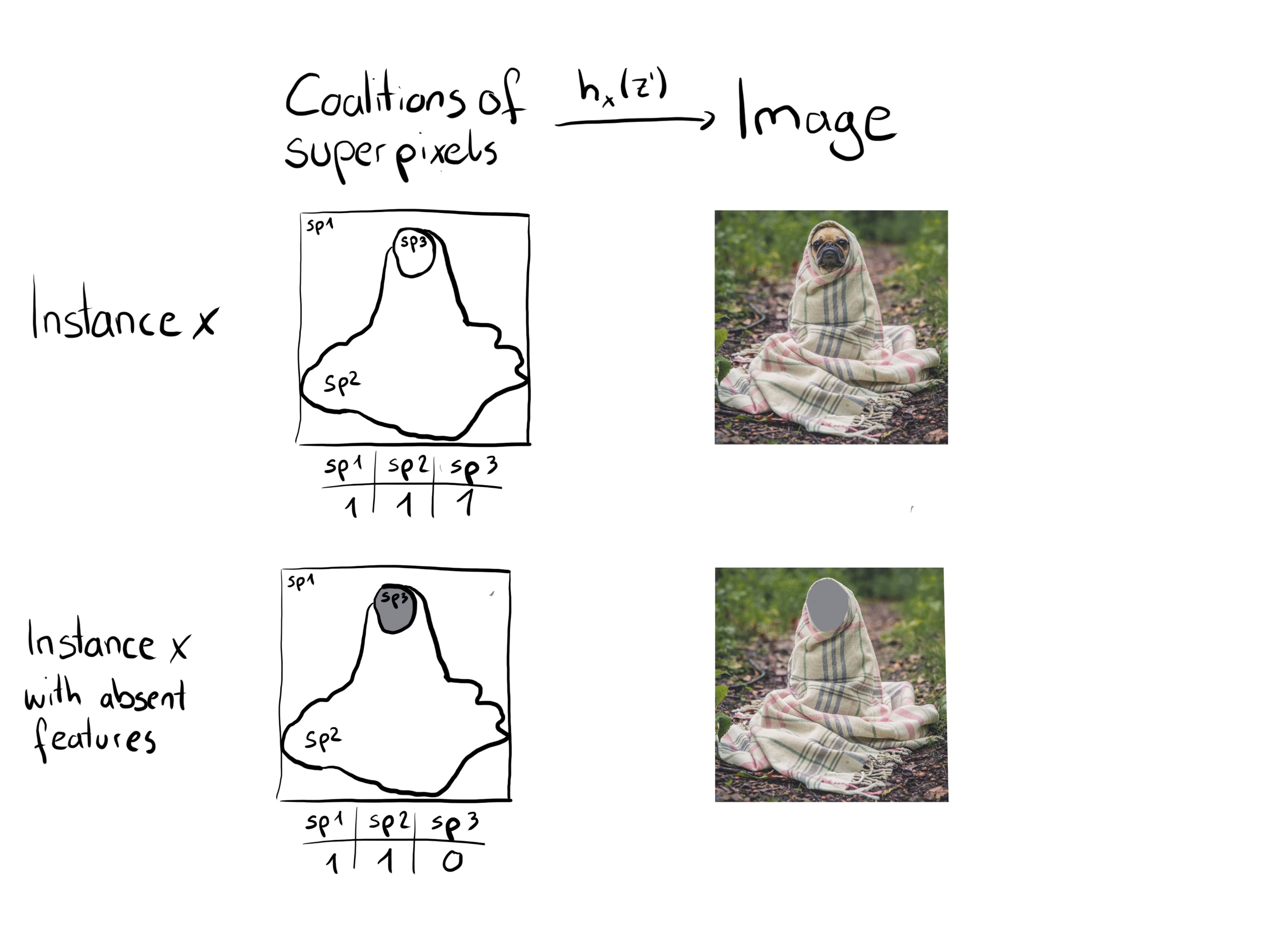 Function $h_x$ maps coalitions of superpixels (sp) to images. Superpixels are groups of pixels. For present features (1), $h_x$ returns the corresponding part of the original image. For absent features (0), $h_x$ greys out the corresponding area. Assigning the average color of surrounding pixels or similar would also be an option.